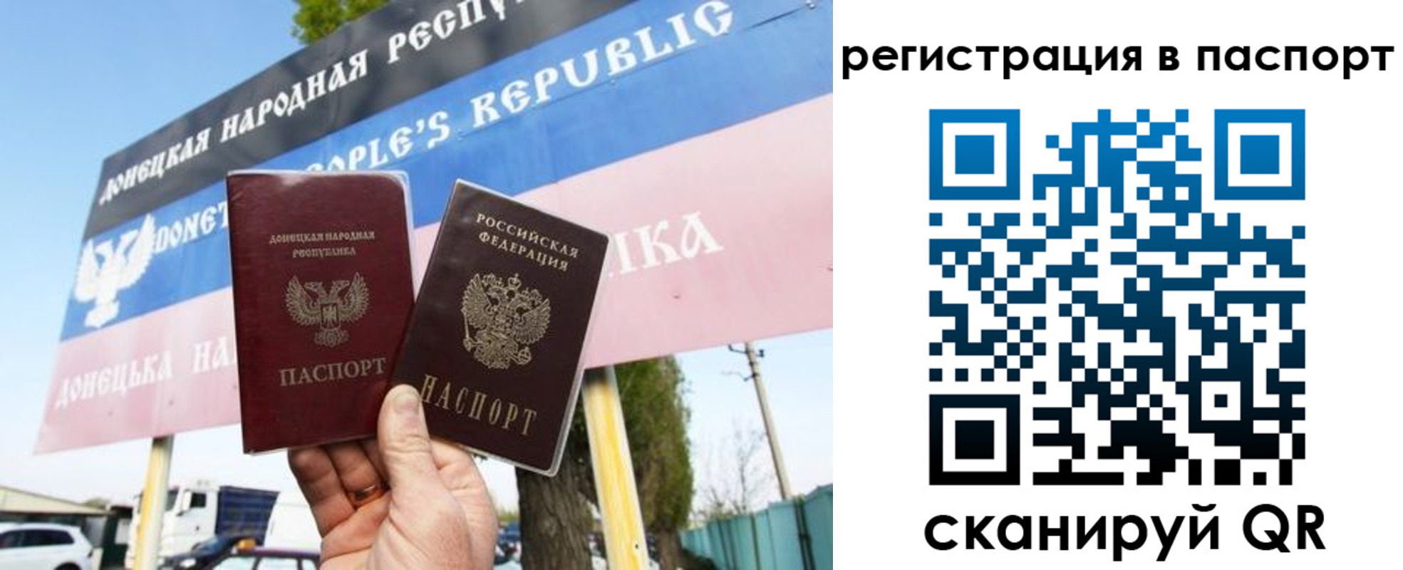 прописка поиск в Зеленодольске